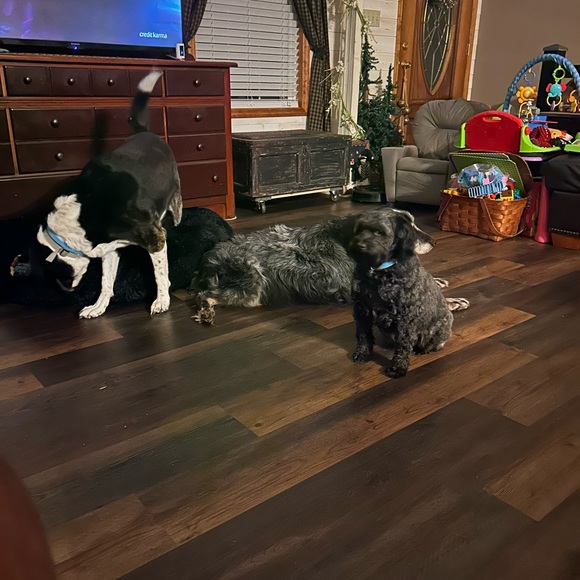 LIVE NOW!!! AND EVERY WEDNESDAY NIGHT 8:24 PM EST BOOKMARK TO BE NOTIFIED - Picture 8 of 17